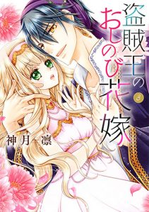 盗賊王のおしのび花嫁3