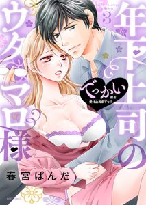 年下上司のウタマロ様-でっかい彼を受け止めますっ!!(3)