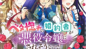 ベタ惚れの婚約者が悪役令嬢にされそうなので。1