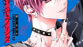 熱愛プリンス24_書影